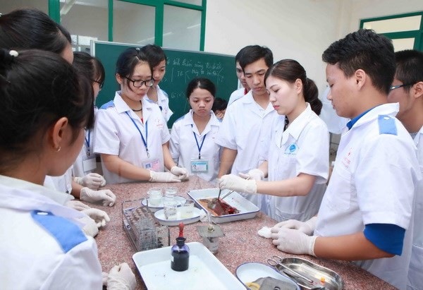 Thi đua yêu nước trong ngành y tế: Động lực phát triển và hoàn thiện hệ thống y tế- Ảnh 3. Thi đua yêu nước trong ngành y tế: Động lực phát triển và hoàn thiện hệ thống y tế- Ảnh 3.