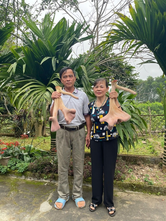 Những chính sách của Hà Tĩnh giúp người dân giảm nghèo bền vững nhờ nuôi hươu- Ảnh 2. Những chính sách của Hà Tĩnh giúp người dân giảm nghèo bền vững nhờ nuôi hươu- Ảnh 2.