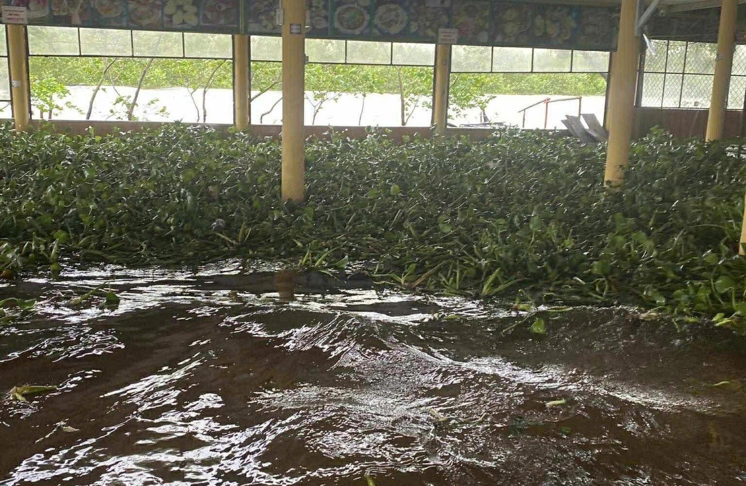 Video triều cường dâng cao gây ngập nhiều hàng quán ven phá Tam Giang- Ảnh 4. Video triều cường dâng cao gây ngập nhiều hàng quán ven phá Tam Giang- Ảnh 4.