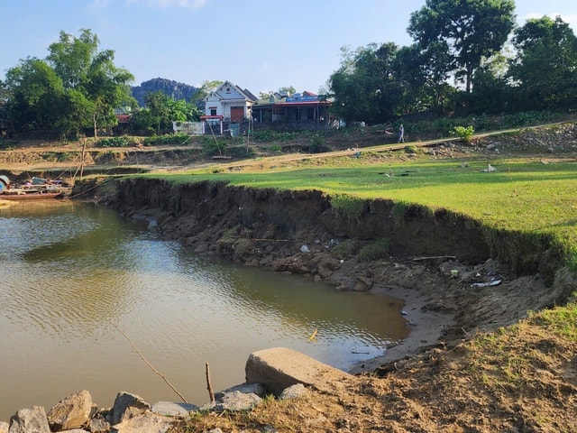 Người dân sống thấp thỏm cạnh đê sông Mã liên tục sạt lở- Ảnh 4. Người dân sống thấp thỏm cạnh đê sông Mã liên tục sạt lở- Ảnh 4.