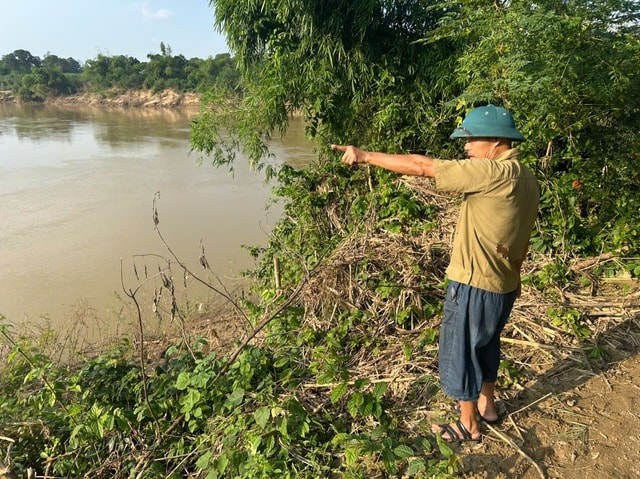 Người dân sống thấp thỏm cạnh đê sông Mã liên tục sạt lở- Ảnh 6. Người dân sống thấp thỏm cạnh đê sông Mã liên tục sạt lở- Ảnh 6.