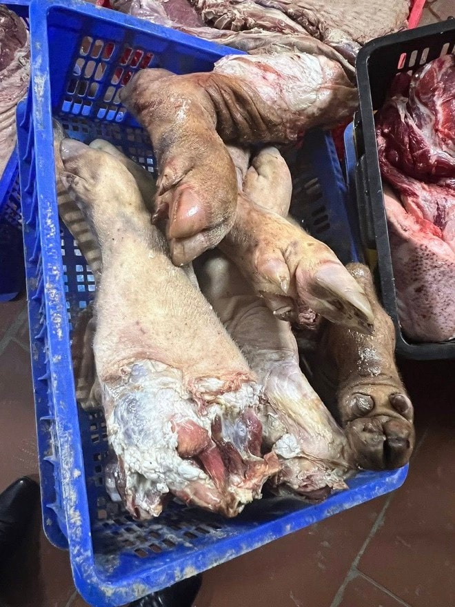 Phát hiện kho lạnh chứa gần 38 tấn thịt lợn nhiễm dịch tả lợn Châu Phi- Ảnh 2. Phát hiện kho lạnh chứa gần 38 tấn thịt lợn nhiễm dịch tả lợn Châu Phi- Ảnh 2.