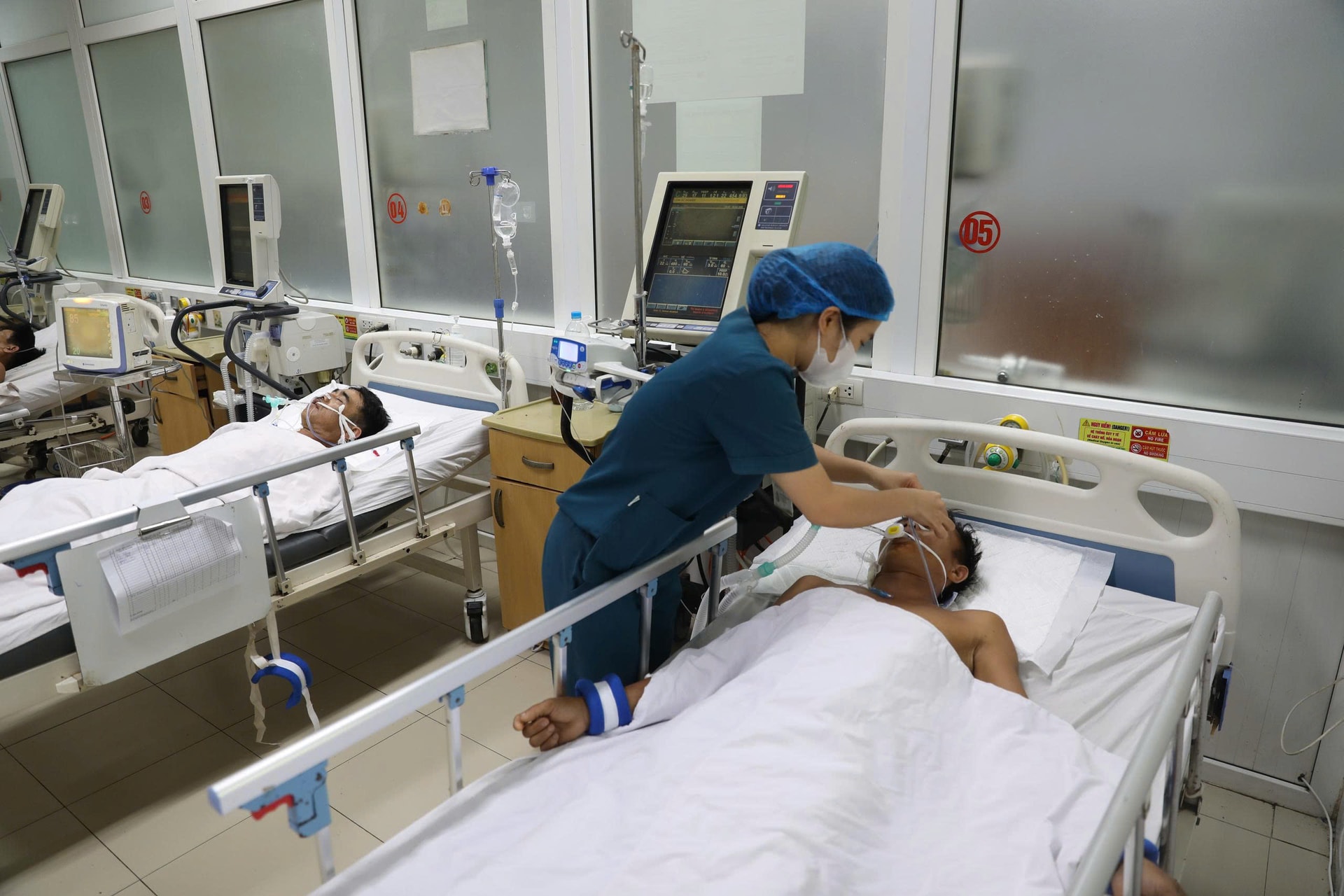 Mối nguy chết người từ rượu ngâm rễ cây rừng: Cảnh báo của bác sĩ- Ảnh 3. Mối nguy chết người từ rượu ngâm rễ cây rừng: Cảnh báo của bác sĩ- Ảnh 3.