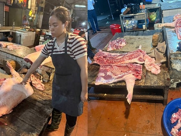 Hà Nội: Triệt phá đường dây mua bán hơn 61 tấn lợn nhiễm dịch bệnh làm thực phẩm- Ảnh 1. Hà Nội: Triệt phá đường dây mua bán hơn 61 tấn lợn nhiễm dịch bệnh làm thực phẩm- Ảnh 1.