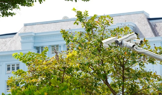 Hà Nội: Camera AI 'bóc' người vi phạm giao thông- Ảnh 5. Hà Nội: Camera AI 'bóc' người vi phạm giao thông- Ảnh 5.