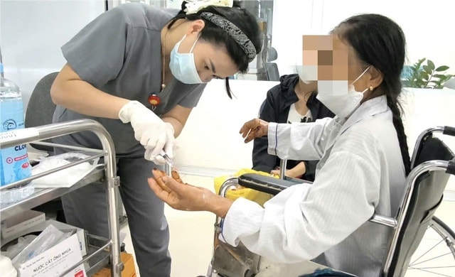 Bị chó nhà tấn công khi cho ăn, cụ bà gãy đốt ngón tay- Ảnh 2.