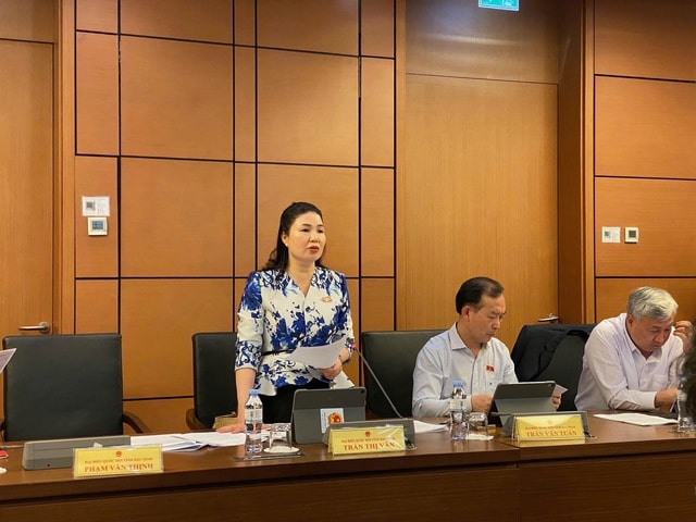 ĐBQH kiến nghị 'phụ nữ sinh đủ 2 con được mua nhà ở xã hội'- Ảnh 1. ĐBQH kiến nghị 'phụ nữ sinh đủ 2 con được mua nhà ở xã hội'- Ảnh 1.