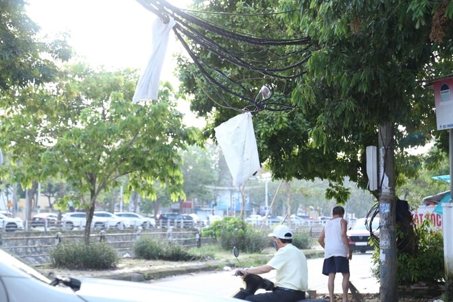 Dây cáp viễn thông rối như mạng nhện ở Nghệ An sau bão- Ảnh 12. Dây cáp viễn thông rối như mạng nhện ở Nghệ An sau bão- Ảnh 12.