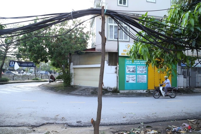 Dây cáp viễn thông rối như mạng nhện ở Nghệ An sau bão- Ảnh 5. Dây cáp viễn thông rối như mạng nhện ở Nghệ An sau bão- Ảnh 5.