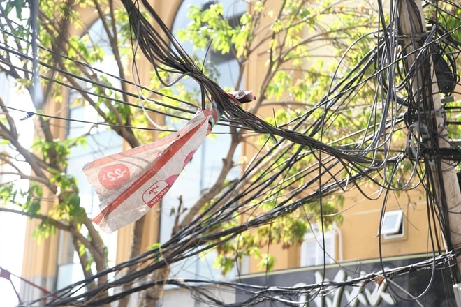 Dây cáp viễn thông rối như mạng nhện ở Nghệ An sau bão- Ảnh 11. Dây cáp viễn thông rối như mạng nhện ở Nghệ An sau bão- Ảnh 11.