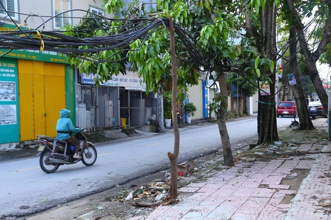 Dây cáp viễn thông rối như mạng nhện ở Nghệ An sau bão- Ảnh 6. Dây cáp viễn thông rối như mạng nhện ở Nghệ An sau bão- Ảnh 6.