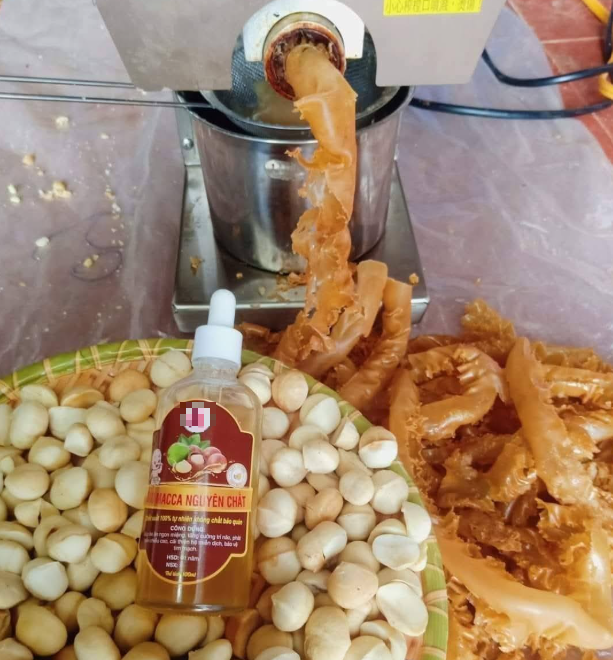 'Săn' hạt mắc-ca, óc chó… để ép dầu: Trào lưu mới của các bà nội trợ- Ảnh 2. 'Săn' hạt mắc-ca, óc chó… để ép dầu: Trào lưu mới của các bà nội trợ- Ảnh 2.