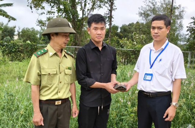 Người dân Huế liên tiếp giao nộp rùa quý hiếm- Ảnh 2. Người dân Huế liên tiếp giao nộp rùa quý hiếm- Ảnh 2.