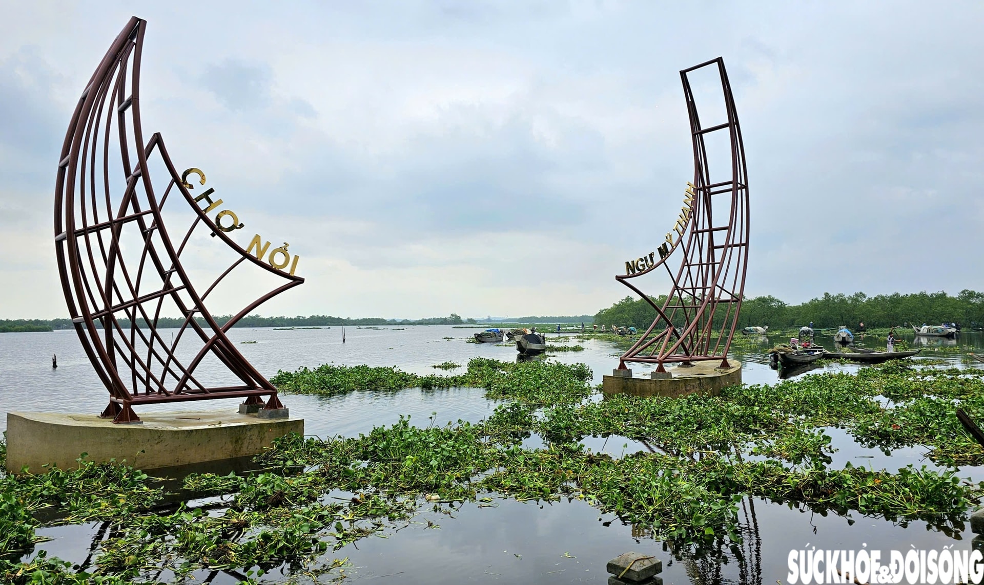 Lục bình phủ kín mặt nước, người dân điểm du lịch cộng đồng ở Huế ngâm mình 'giải vây'- Ảnh 1.