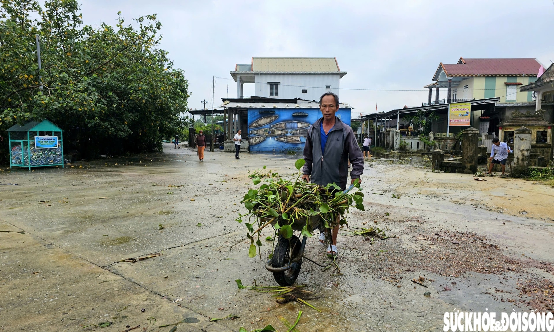 Lục bình phủ kín mặt nước, người dân điểm du lịch cộng đồng ở Huế ngâm mình 'giải vây'- Ảnh 2.