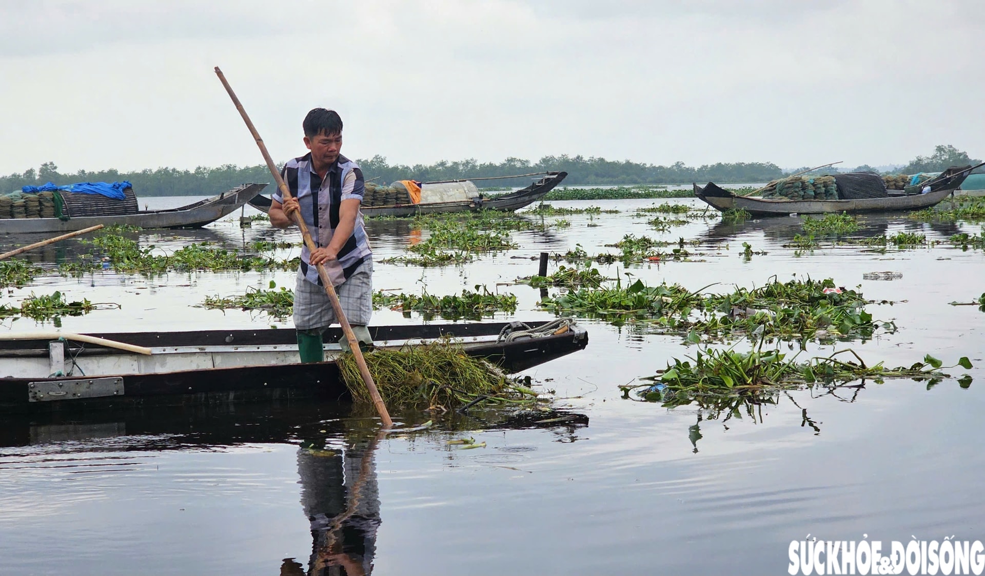 Lục bình phủ kín mặt nước, người dân điểm du lịch cộng đồng ở Huế ngâm mình 'giải vây'- Ảnh 6.
