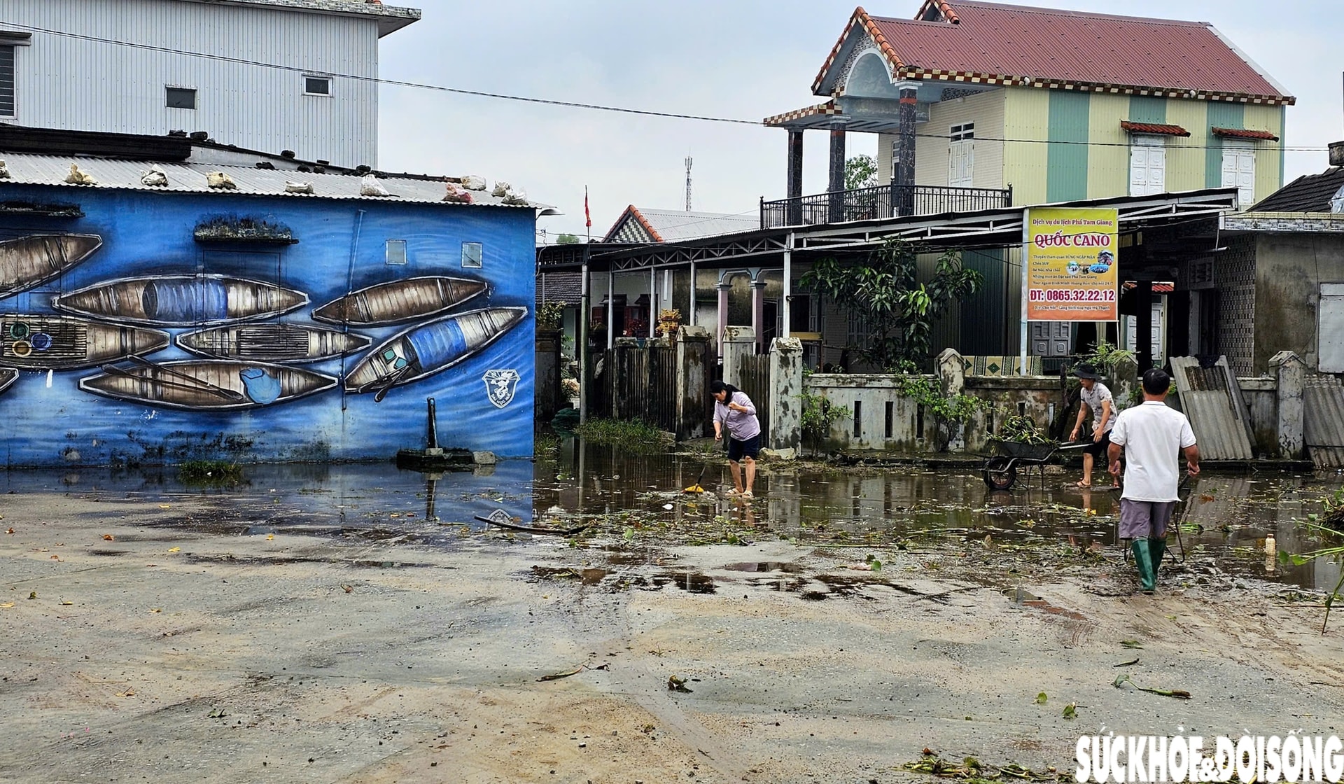 Lục bình phủ kín mặt nước, người dân điểm du lịch cộng đồng ở Huế ngâm mình 'giải vây'- Ảnh 11.
