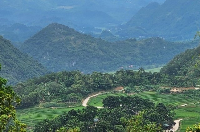 Phát hiện loài chuột chũi, động vật còn nhiều bí ẩn dưới lòng đất Pù Luông- Ảnh 1.