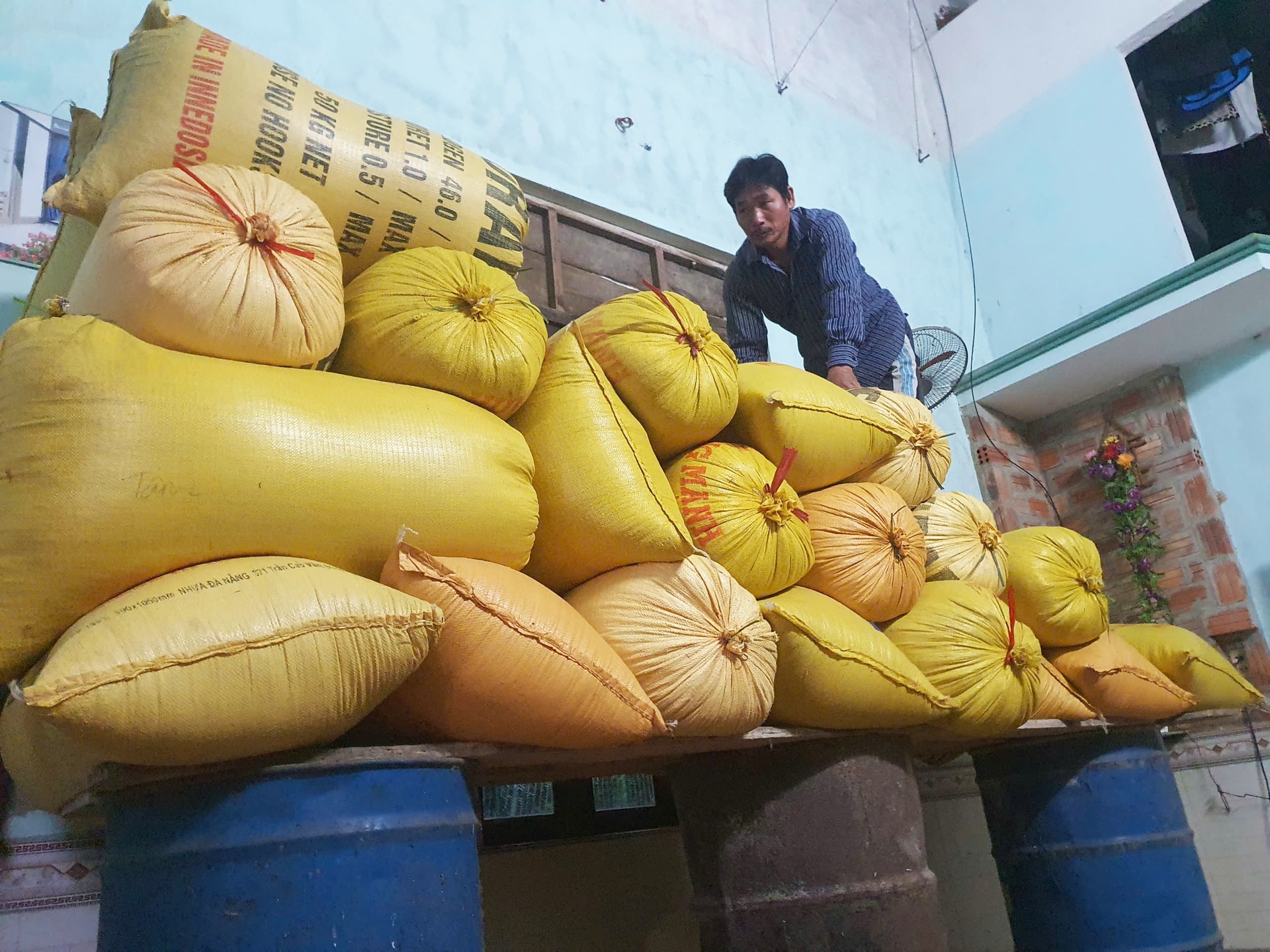 Người dân Đà Nẵng tất bật kê đồ, đóng bè tránh lũ- Ảnh 1. Người dân Đà Nẵng tất bật kê đồ, đóng bè tránh lũ- Ảnh 1.