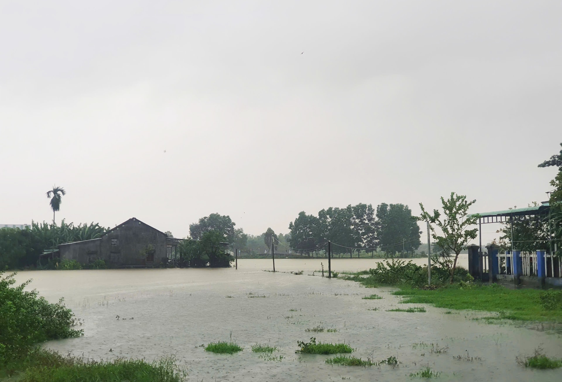 Người dân Đà Nẵng tất bật kê đồ, đóng bè tránh lũ- Ảnh 4. Người dân Đà Nẵng tất bật kê đồ, đóng bè tránh lũ- Ảnh 4.