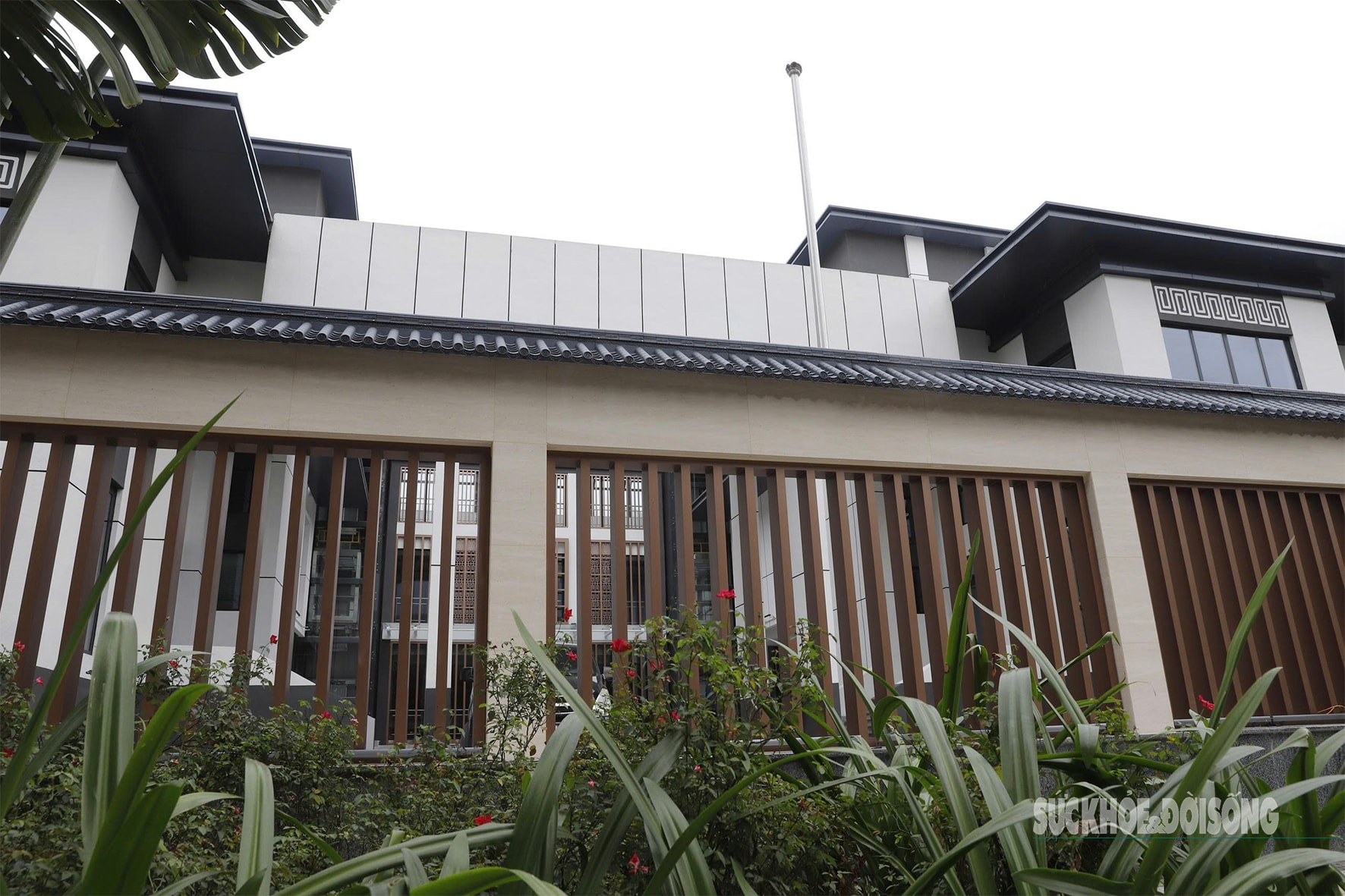 Nhà hoang giữa phố 'lột xác' ngoạn mục- Ảnh 3.