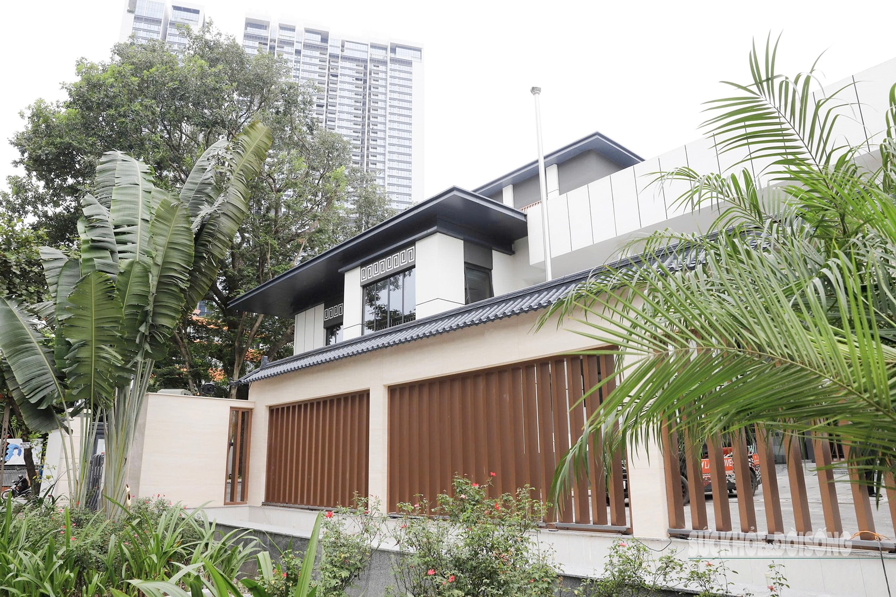 Nhà hoang giữa phố 'lột xác' ngoạn mục- Ảnh 2.