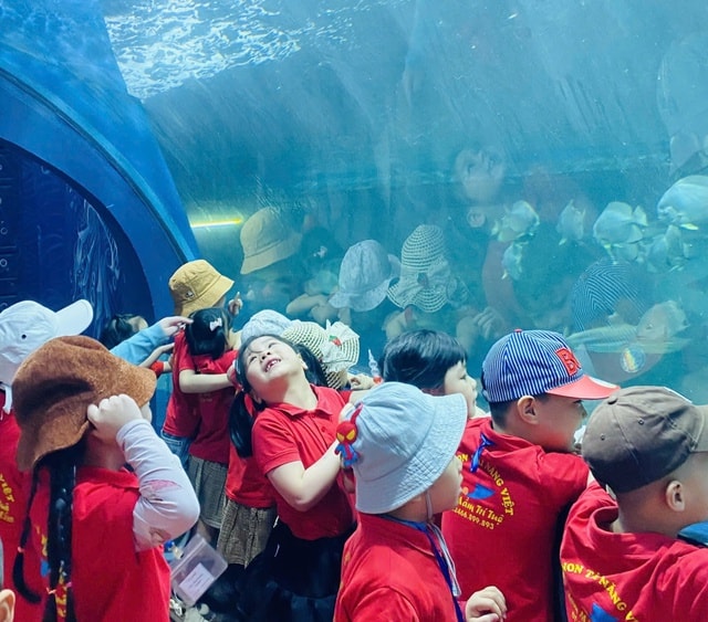 Học sinh đi tham quan, trải nghiệm: Cần lưu ý gì để đảm bảo an toàn? - Ảnh 2.