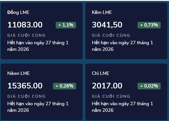 Giá kim loại tiếp tục leo cao- Ảnh 1.