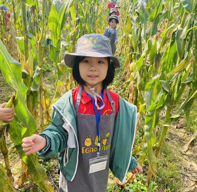 Học sinh đi tham quan, trải nghiệm: Cần lưu ý gì để đảm bảo an toàn? - Ảnh 1.