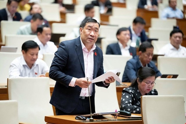 ĐBQH đề xuất đầu tư, đổi mới công nghệ xử lý chất thải y tế để bảo vệ môi trường và sức khỏe người dân- Ảnh 3.