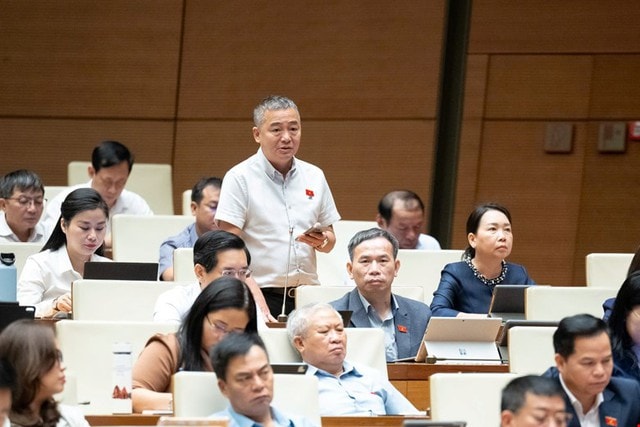 Thiên tai ngày càng khốc liệt, ĐBQH đề nghị giữ rừng, xử lý phá rừng lấy gỗ và làm dự án- Ảnh 2.