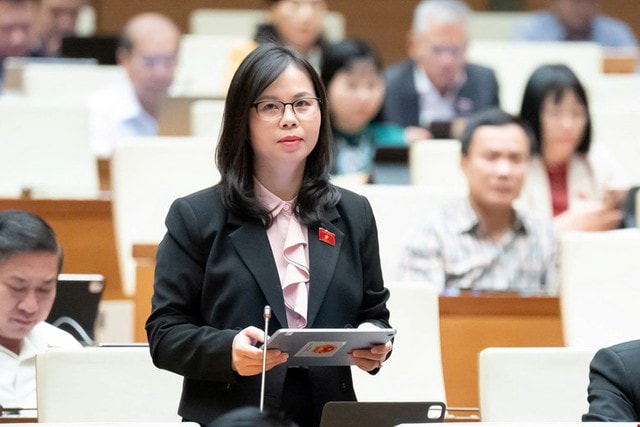 Thiên tai ngày càng khốc liệt, ĐBQH đề nghị giữ rừng, xử lý phá rừng lấy gỗ và làm dự án- Ảnh 3.