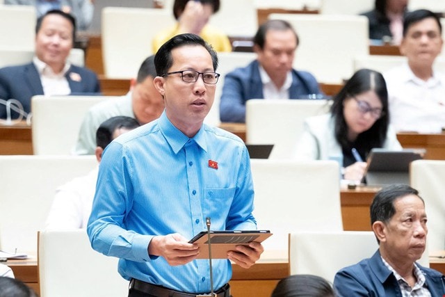 Thiên tai ngày càng khốc liệt, ĐBQH đề nghị giữ rừng, xử lý phá rừng lấy gỗ và làm dự án- Ảnh 1.