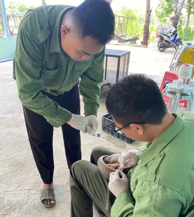 Chuyện về ‘bảo mẫu’ đặc biệt của động vật quý hiếm- Ảnh 1. Chuyện về ‘bảo mẫu’ đặc biệt của động vật quý hiếm- Ảnh 1.