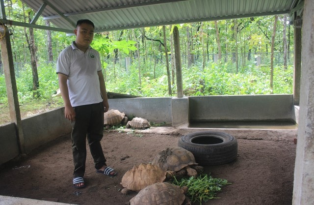 Chuyện về ‘bảo mẫu’ đặc biệt của động vật quý hiếm- Ảnh 2. Chuyện về ‘bảo mẫu’ đặc biệt của động vật quý hiếm- Ảnh 2.