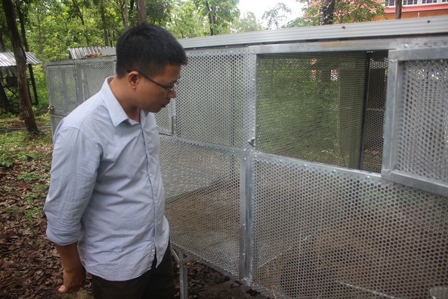 Chuyện về ‘bảo mẫu’ đặc biệt của động vật quý hiếm- Ảnh 4. Chuyện về ‘bảo mẫu’ đặc biệt của động vật quý hiếm- Ảnh 4.