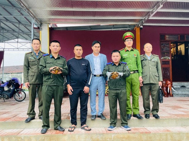 Phát hiện hai cá thể rùa quý hiếm trong khuôn viên đền- Ảnh 2. Phát hiện hai cá thể rùa quý hiếm trong khuôn viên đền- Ảnh 2.