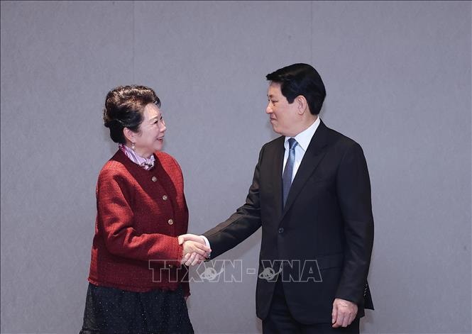 Chủ tịch nước Lương Cường tiếp Nhà sáng lập Tập đoàn MEBO International- Ảnh 1.