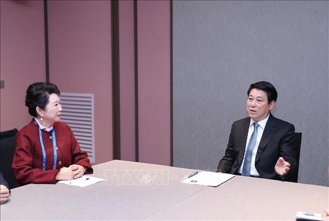 Chủ tịch nước Lương Cường tiếp Nhà sáng lập Tập đoàn MEBO International- Ảnh 2.