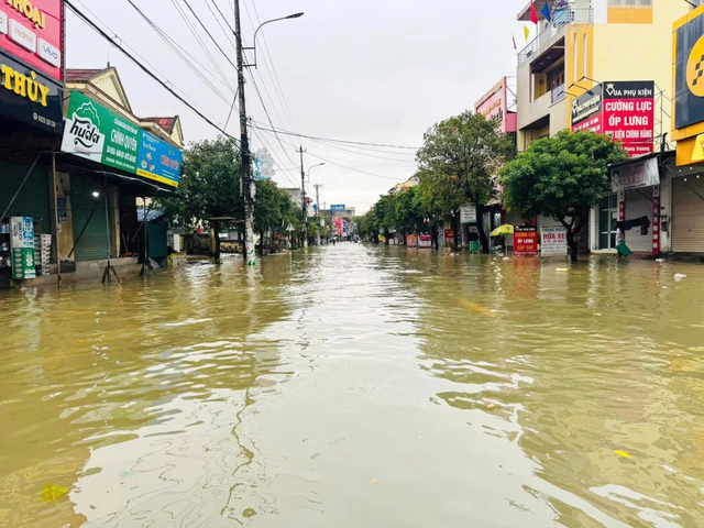 Quảng Trị ngập sâu, đất đá vùi lấp nhiều chuồng trại, ruộng đồng- Ảnh 8.