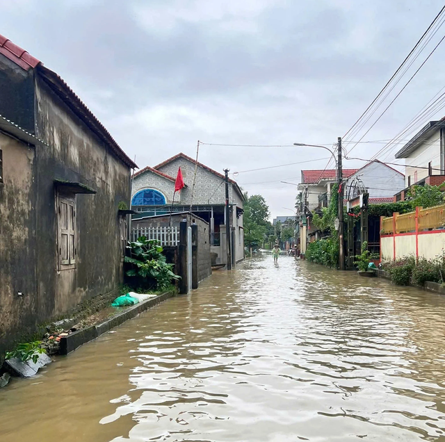 Quảng Trị ngập sâu, đất đá vùi lấp nhiều chuồng trại, ruộng đồng- Ảnh 9.
