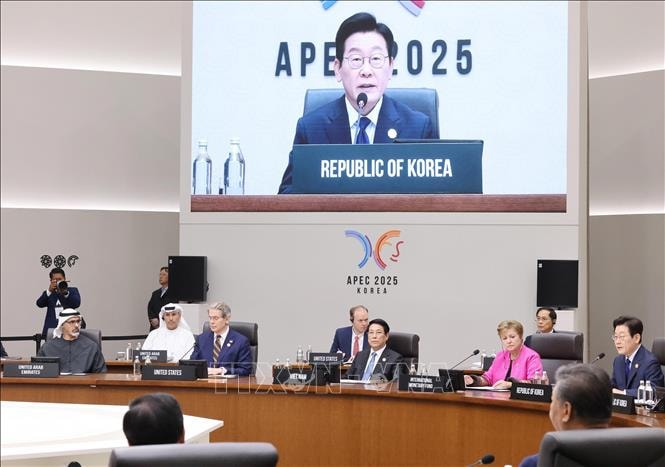 Chủ tịch nước Lương Cường dự Hội nghị Cấp cao APEC lần thứ 32- Ảnh 4.