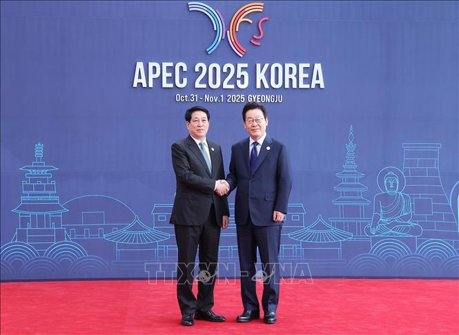 Chủ tịch nước Lương Cường dự Hội nghị Cấp cao APEC lần thứ 32- Ảnh 9.