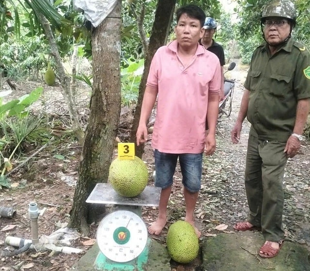 Cơ sở pháp lý vụ người đàn ông bị khởi tố vì trộm hai trái mít trị giá 387.000 đồng- Ảnh 1. Cơ sở pháp lý vụ người đàn ông bị khởi tố vì trộm hai trái mít trị giá 387.000 đồng- Ảnh 1.