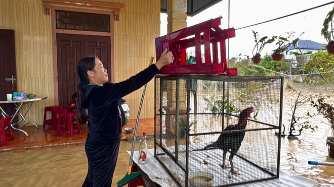 Hơn 28.000 học sinh Quảng Trị phải nghỉ học do mưa lũ, sạt lở- Ảnh 5.