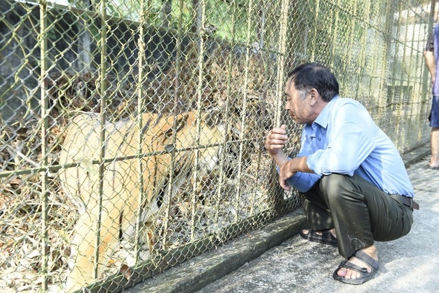 Tìm ngôi nhà mới cho chín cá thể động vật quý hiếm có nguy cơ tuyệt chủng- Ảnh 3. Tìm ngôi nhà mới cho chín cá thể động vật quý hiếm có nguy cơ tuyệt chủng- Ảnh 3.
