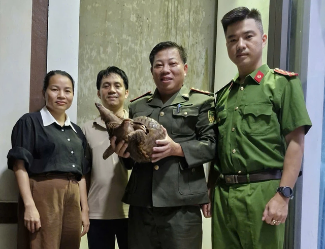 Phát hiện loài động vật quý hiếm trong Sách đỏ đi lạc giữa phố, người đàn ông bàn giao cơ quan chức năng- Ảnh 1. Phát hiện loài động vật quý hiếm trong Sách đỏ đi lạc giữa phố, người đàn ông bàn giao cơ quan chức năng- Ảnh 1.