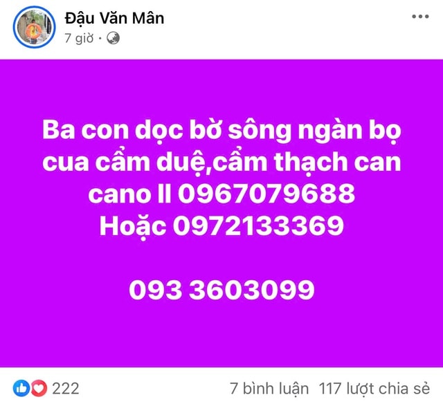 Những khoảnh khắc xúc động đến nghẹn lời ở vùng lũ- Ảnh 11.