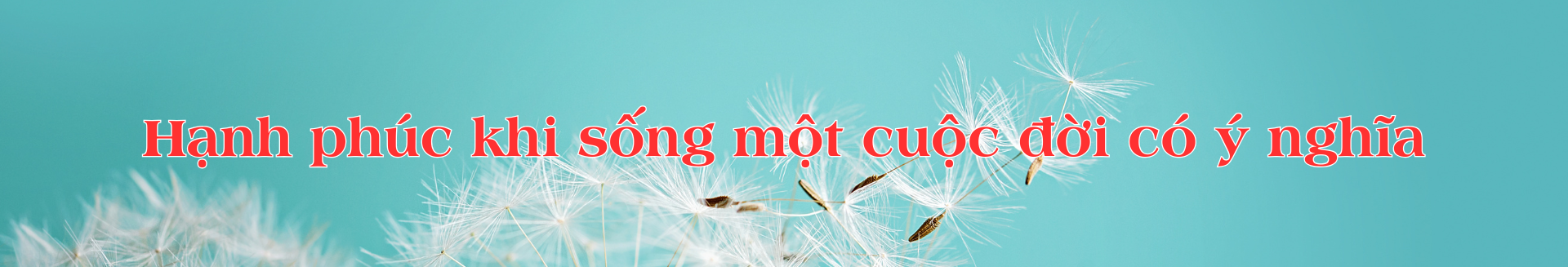 Chuyện của Giang – Kỳ 3: Cống hiến đến 'hơi thở cuối cùng'- Ảnh 1. Chuyện của Giang – Kỳ 3: Cống hiến đến 'hơi thở cuối cùng'- Ảnh 1.