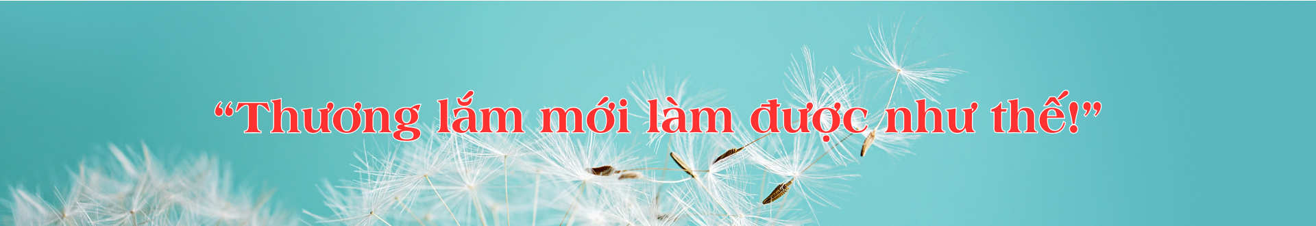 Chuyện của Giang – Kỳ 3: Cống hiến đến 'hơi thở cuối cùng'- Ảnh 13. Chuyện của Giang – Kỳ 3: Cống hiến đến 'hơi thở cuối cùng'- Ảnh 13.